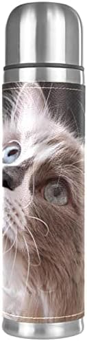 בקבוק ואקום נירוסטה, גזע Ragdoll של חתול פנים חמוד מודפס