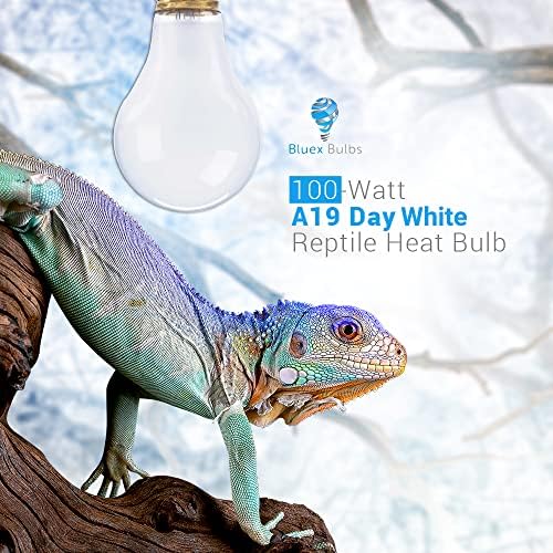 נורות Bluex 4 חבילה A19 100W UVA יום לבן אור זוחל נורת חום - E26 מספק אור יום לשעות היום לצבים נחשים שממלים דרקונים מזוקנים - מקדם התנהגות