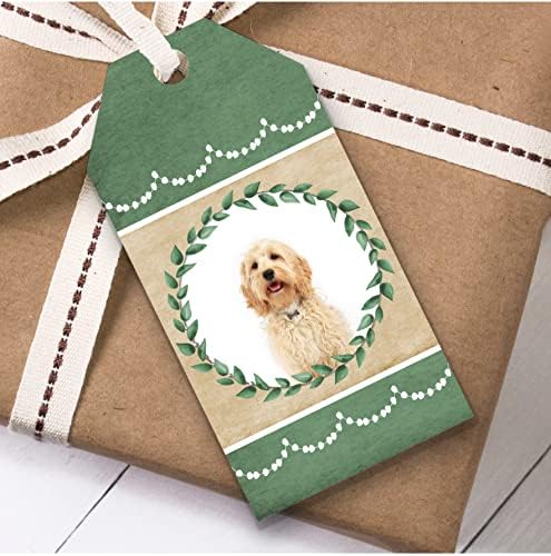 כלב קוקאפו ירוק מתנת יום הולדת טובה תגי מתנה