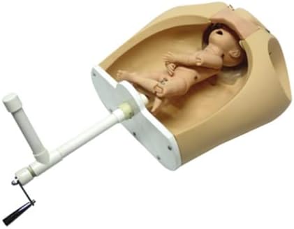 מתקדם מיילדות אימון דגם בהריון משלוח דגם לידה אימון מיחידים תינוק, עבור גינקולוגיה הוראה