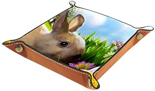פרחי Lorvies אור שמש ארנב אחו אביב אביב חמוד ארנב ארנב ביצי דשא קופסת אחסון קוביית סל קוביית סל מיכלים למשרד