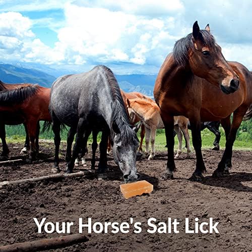 הימלאיה טבע סוס מלקק מלח, מלקק לבני מינרלים מינרלים לבנים - 5 קג