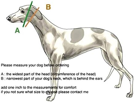 Sgang Extra Soft Martingale Collar עבור Greyhound Saluki Whippet וגזעים אחרים עם צוואר דומה 2 'רחב